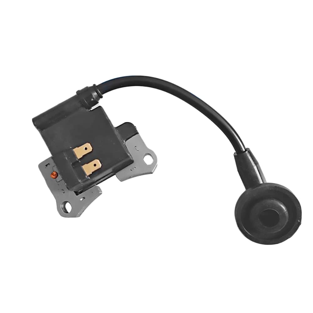 Amazon.com: Realman Electronic Ignition Coil Magnetor Stator for